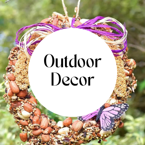 Outdoor Finds