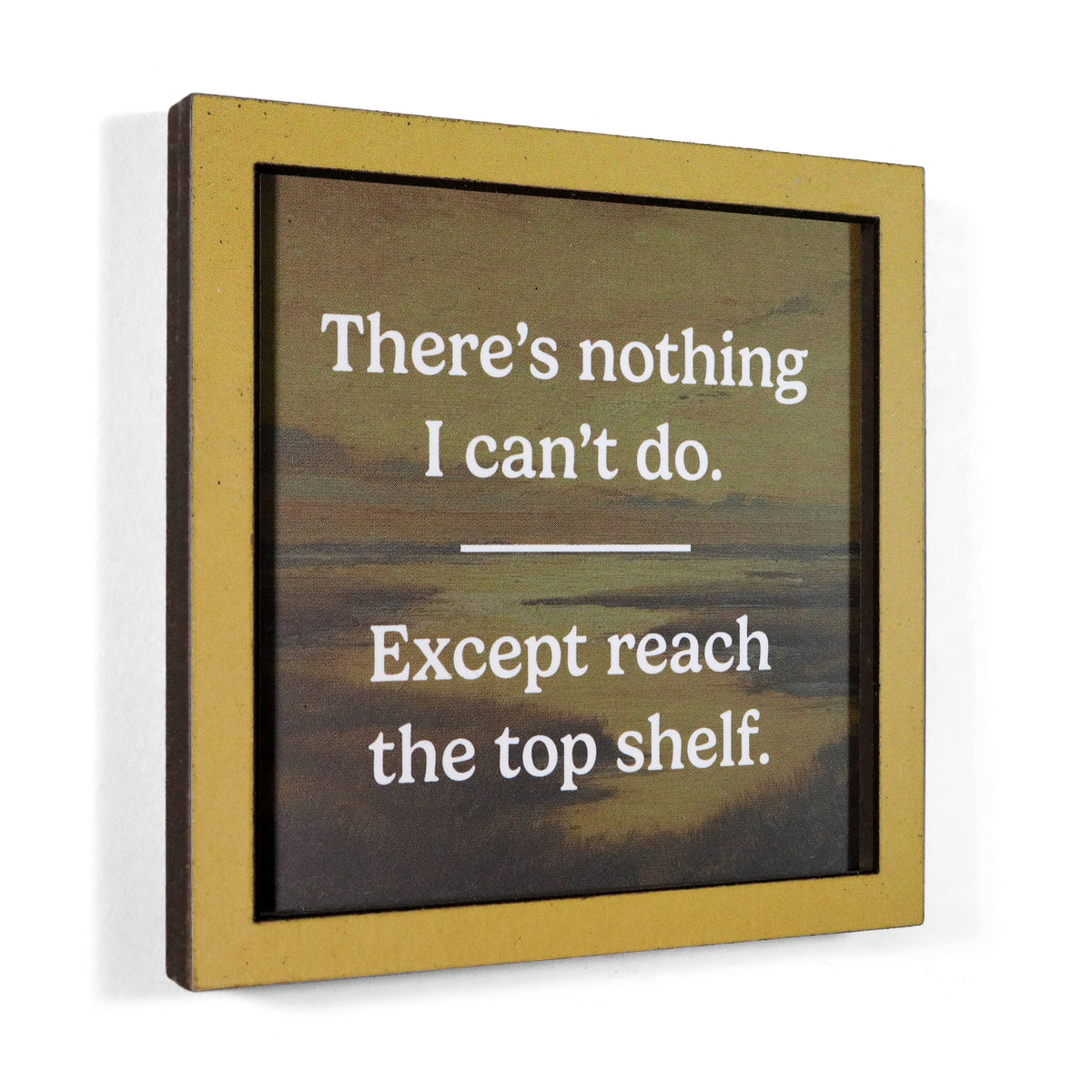 Reach the Top Shelf - Funny Wooden Magnet