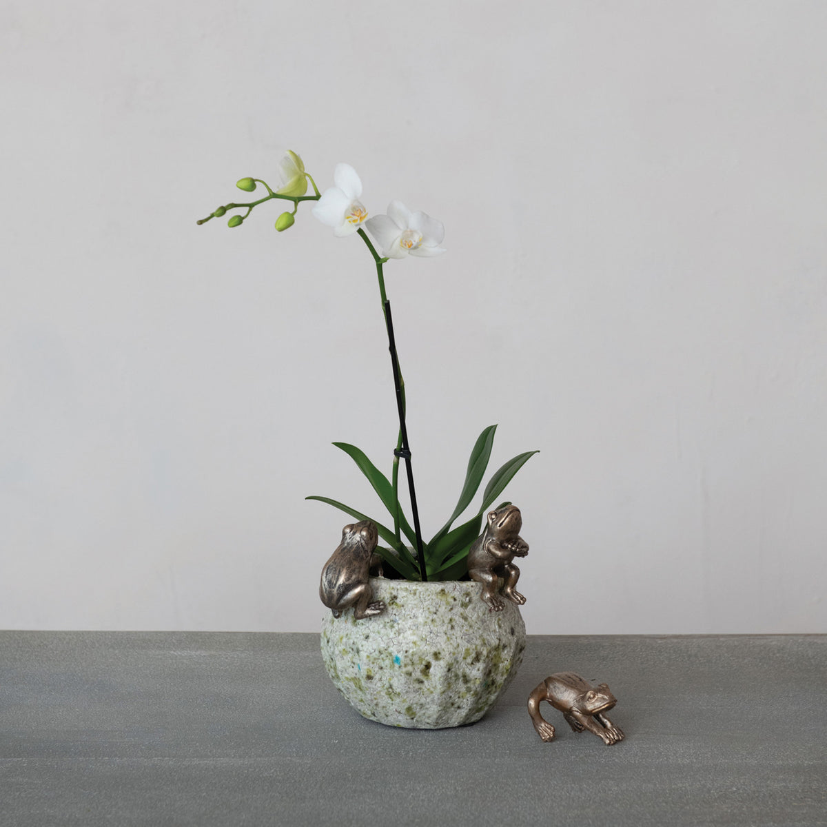 Resin Frog Pot Hanger in Gold Finish
